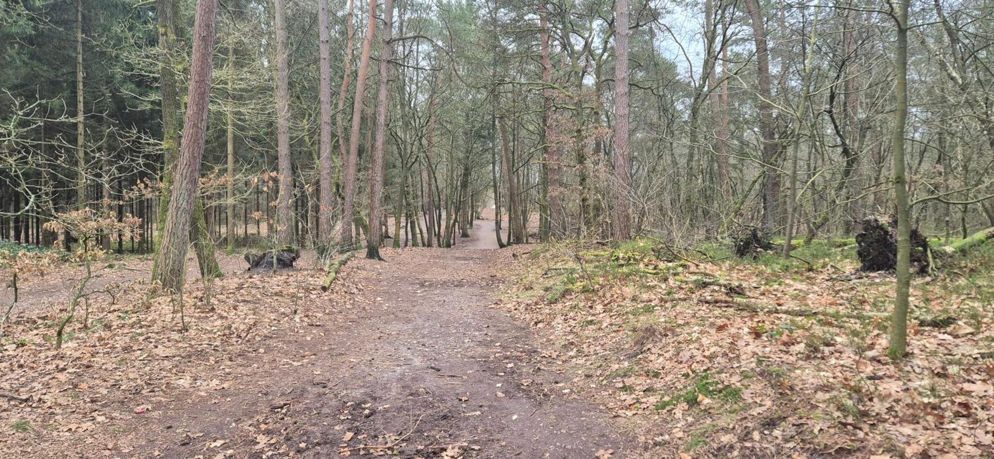 Het Veluwse Boshuisje Knus Chalet Met Omheinde Tuin Op De Veluwe 霍德鲁 外观 照片