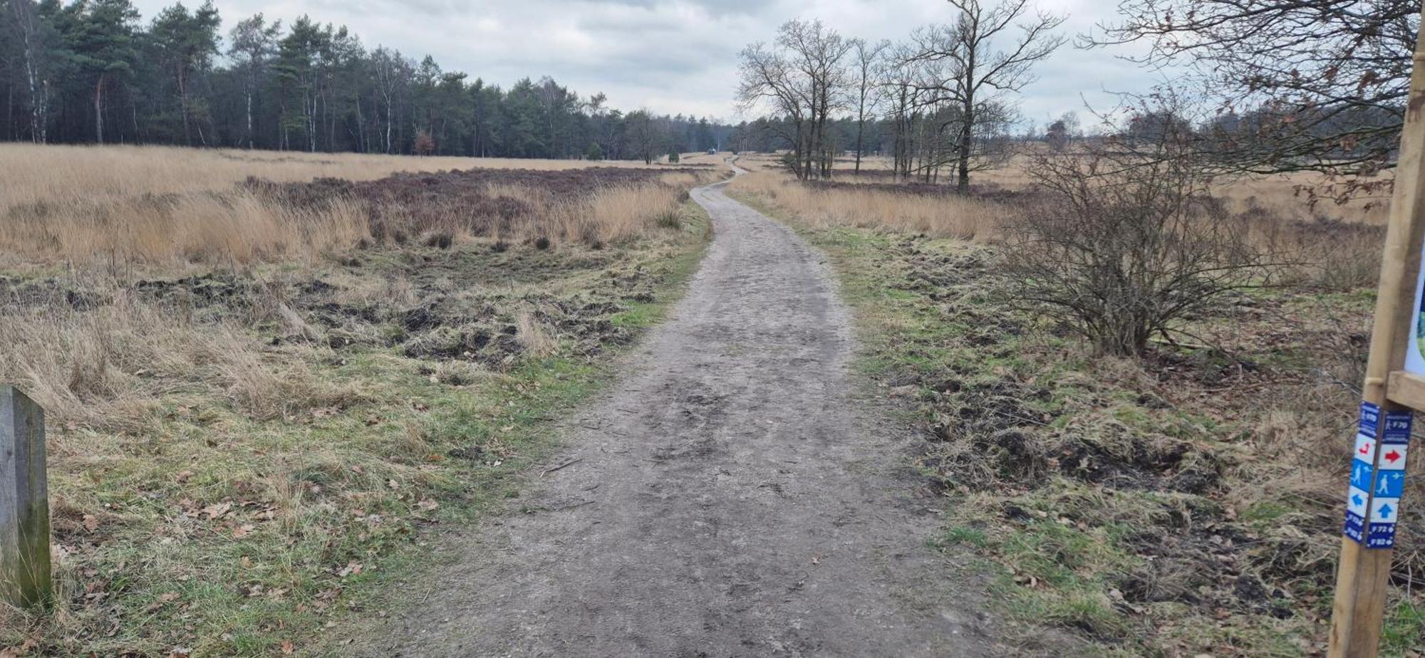 Het Veluwse Boshuisje Knus Chalet Met Omheinde Tuin Op De Veluwe 霍德鲁 外观 照片