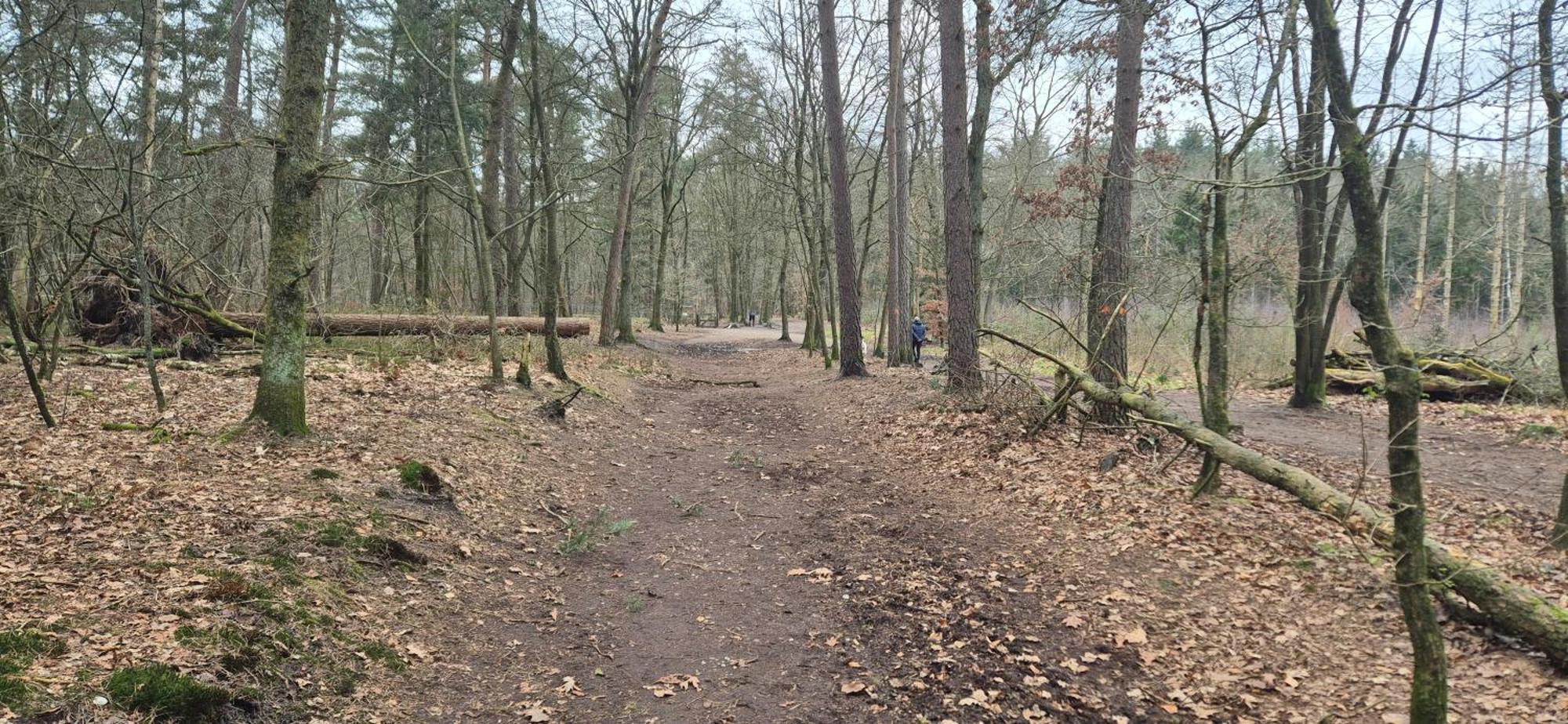 Het Veluwse Boshuisje Knus Chalet Met Omheinde Tuin Op De Veluwe 霍德鲁 外观 照片