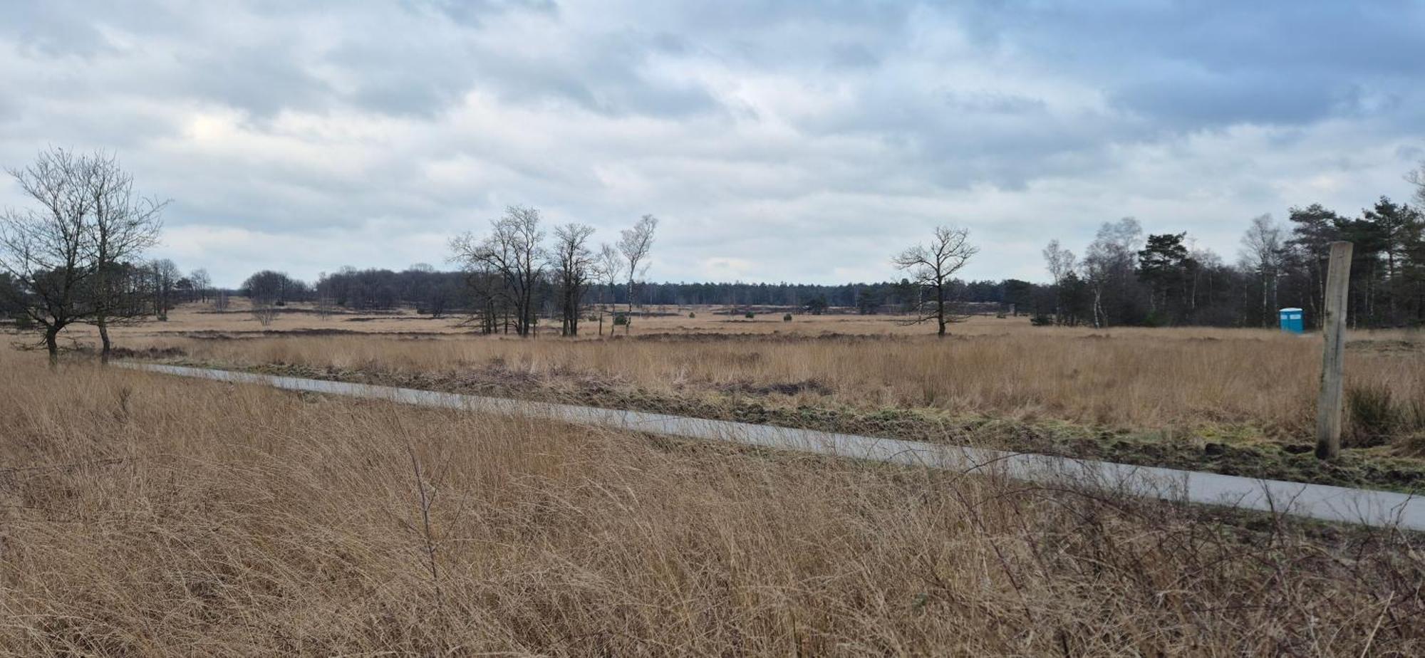 Het Veluwse Boshuisje Knus Chalet Met Omheinde Tuin Op De Veluwe 霍德鲁 外观 照片